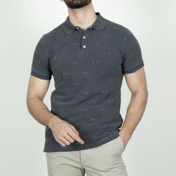 Polo Cheli
